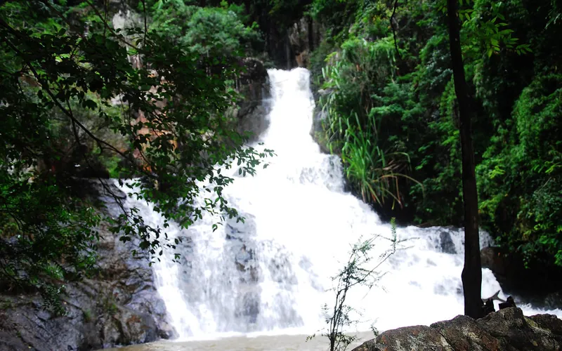 Datanla Waterfall cascading through green forest