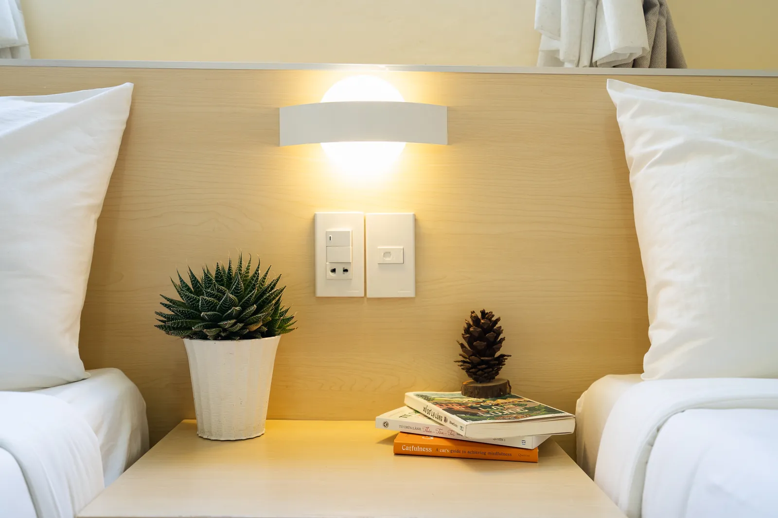 Đầu giường gỗ, đèn tường và chậu cây nhỏ trong phòng Family